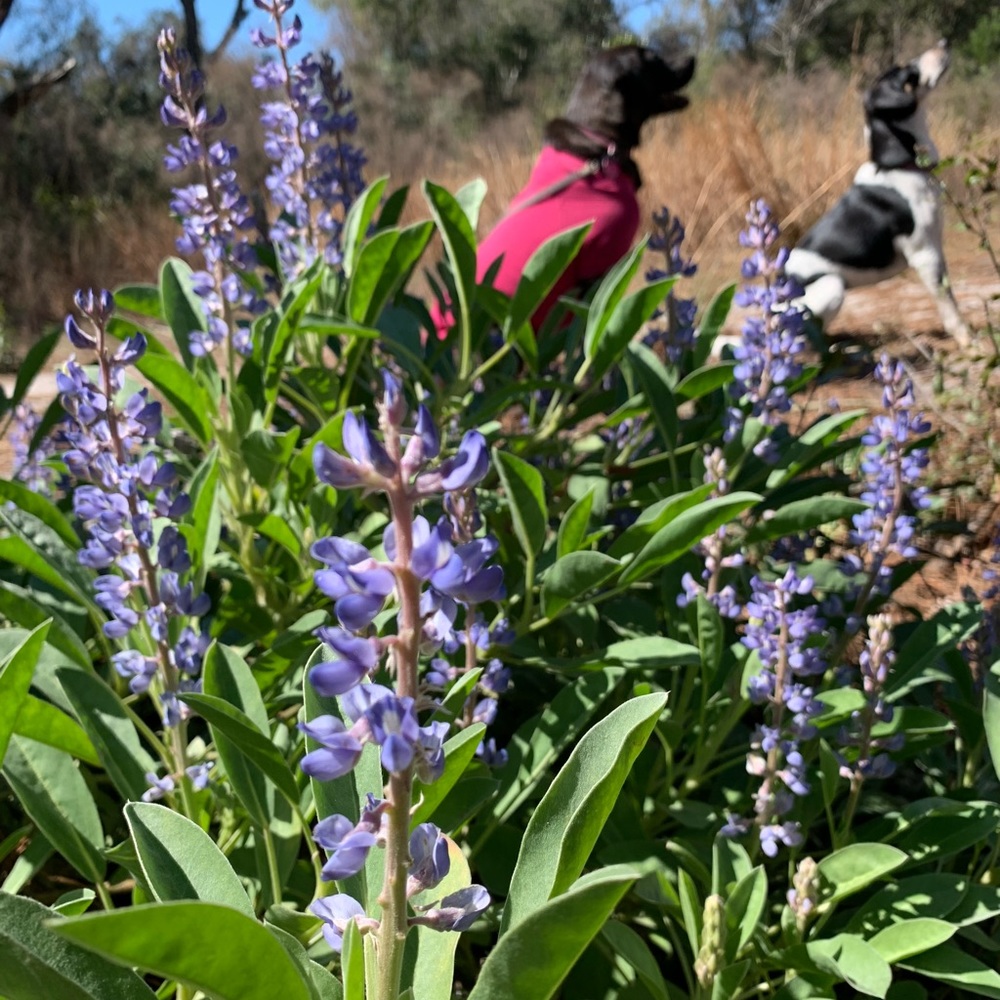 Meet your Posher, Norah